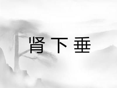 肾下垂
