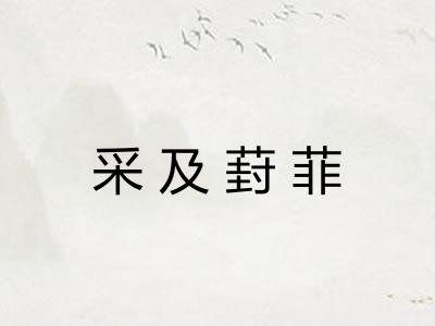 采及葑菲