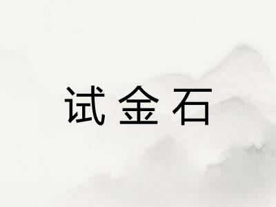 试金石