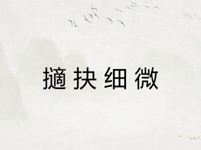 擿抉细微