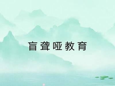 盲聋哑教育