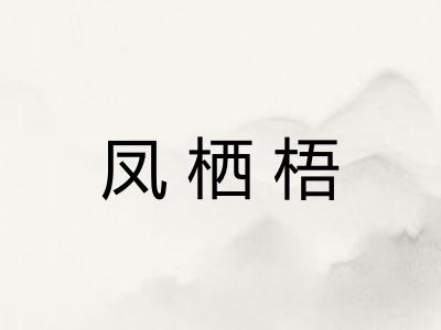 凤栖梧 凤栖梧