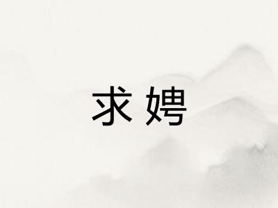 求娉
