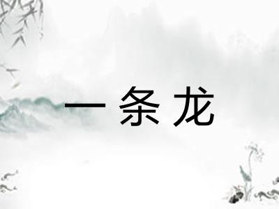 一条龙