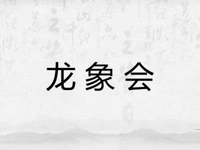 龙象会 龙象会