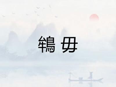 鴾毋