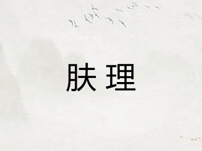 肤理