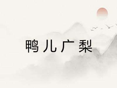 鸭儿广梨 鸭儿广梨