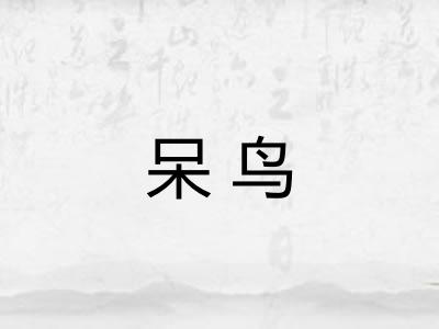 呆鸟