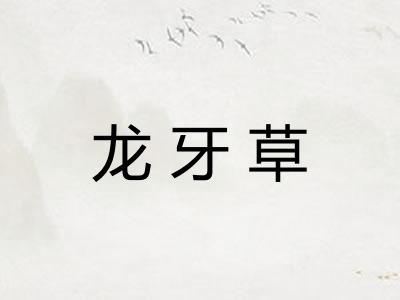 龙牙草