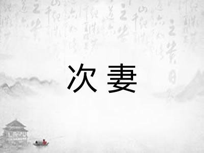 次妻