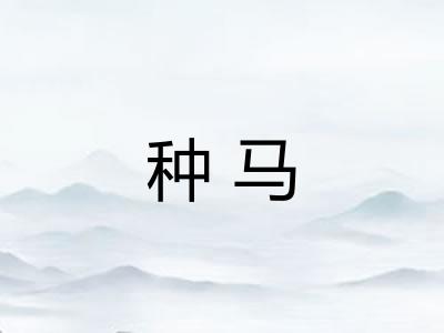 种马