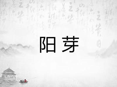 阳芽