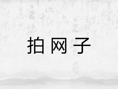 拍网子