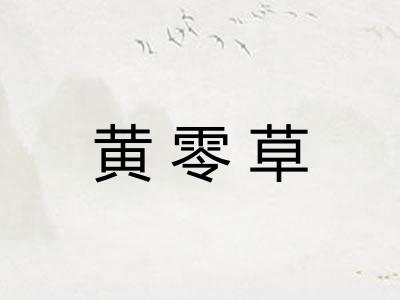 黄零草