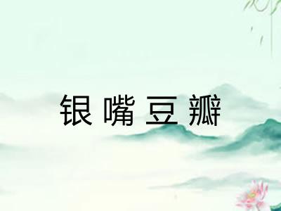银嘴豆瓣