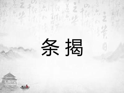 条揭