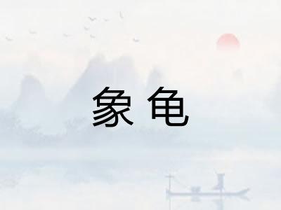 象龟 象龟