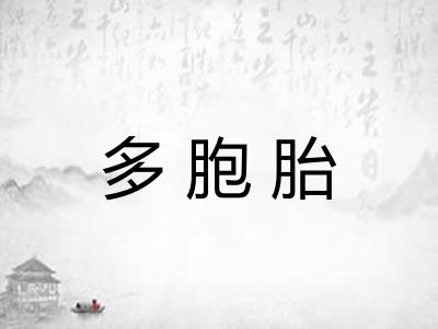 多胞胎
