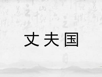 丈夫国