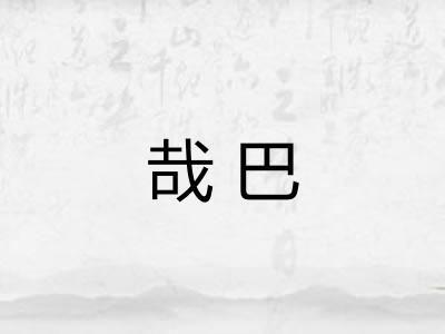 哉巴