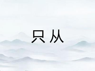 只从 只从