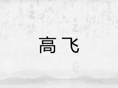 高飞
