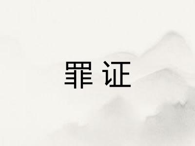 罪证 罪证