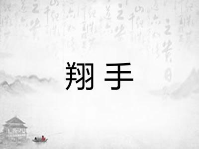 翔手 翔手