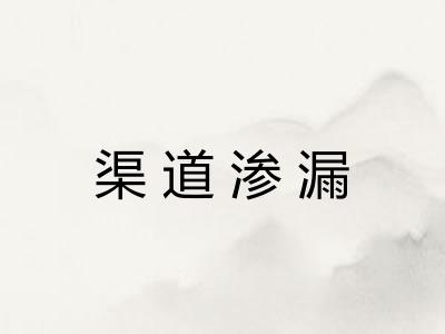 渠道渗漏