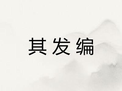 其发编