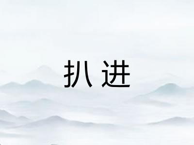 扒进