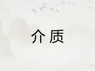 介质
