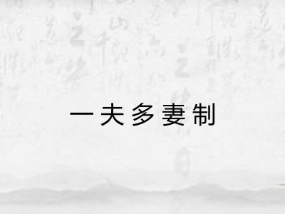 一夫多妻制