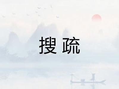 搜疏