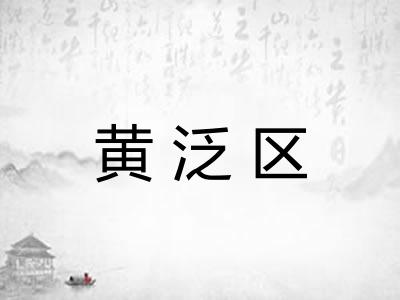 黄泛区