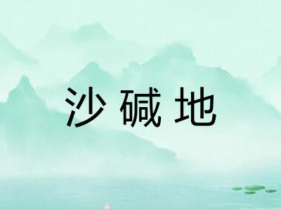 沙碱地 沙碱地