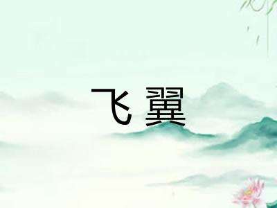 飞翼
