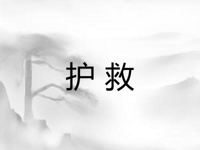 护救
