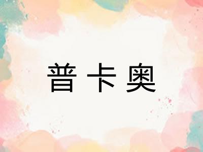 普卡奥