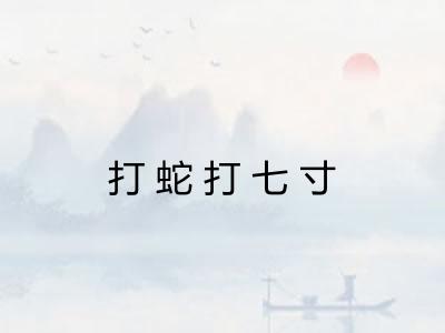 打蛇打七寸