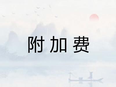 附加费