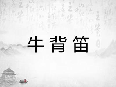 牛背笛 牛背笛