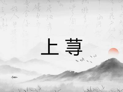 上荨