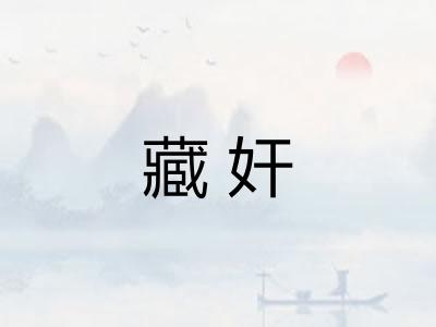藏奸