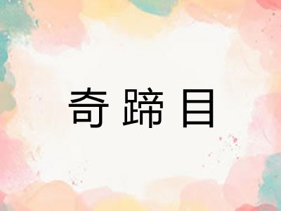 奇蹄目