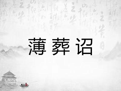 薄葬诏