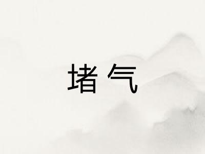 堵气