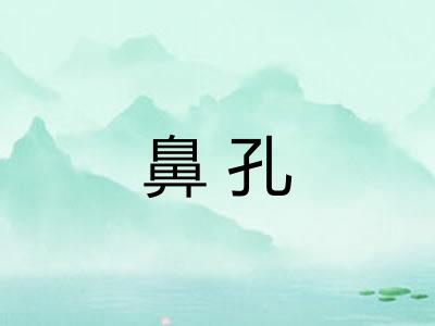 鼻孔