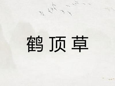 鹤顶草 鹤顶草